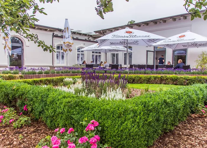 Haus Seeigel Strandflieder Norderney